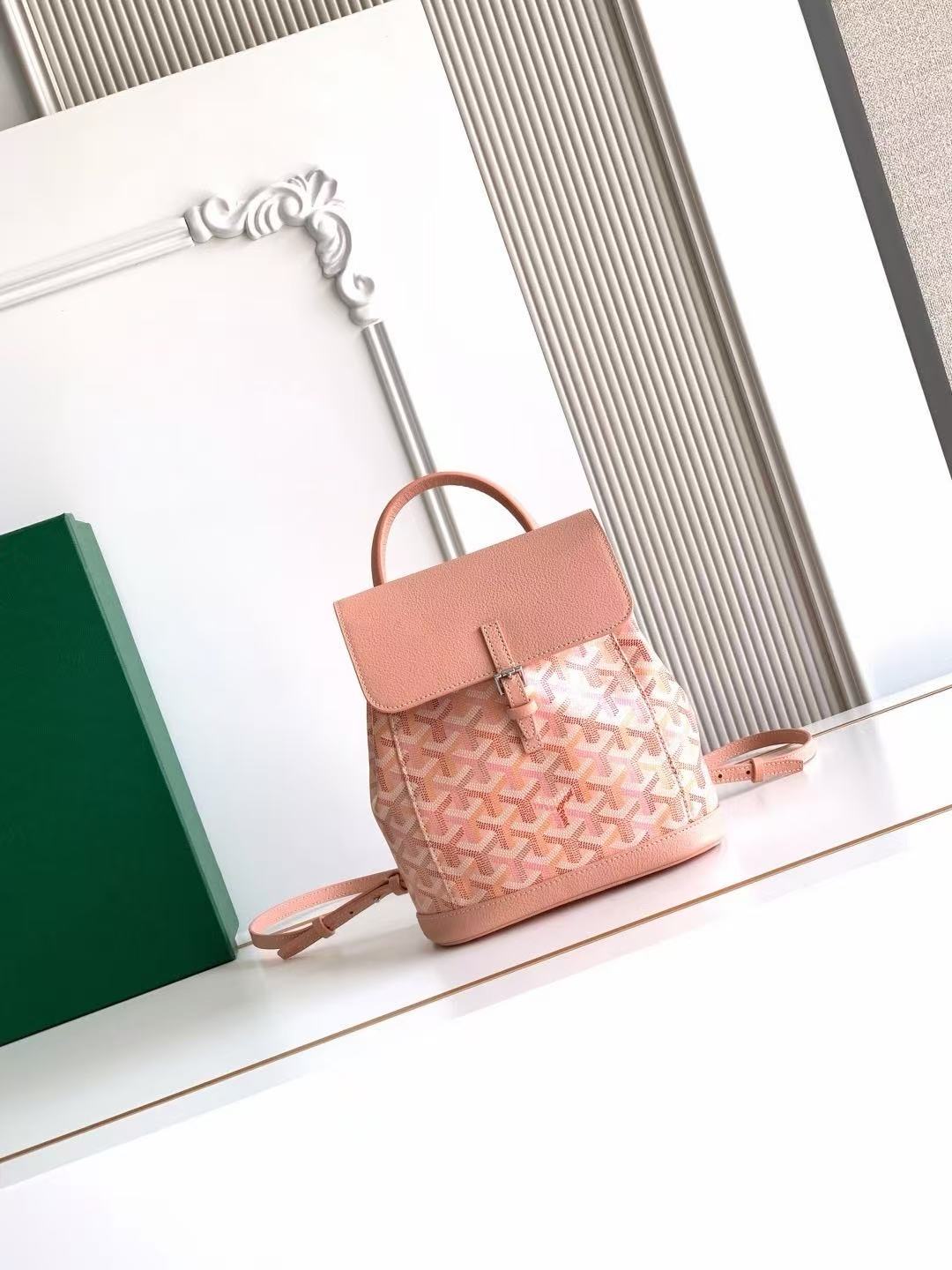 GOYARD ALPIN MINI