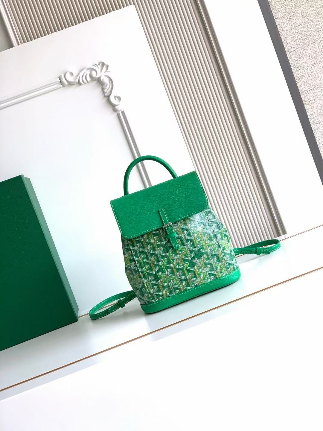 GOYARD ALPIN MINI