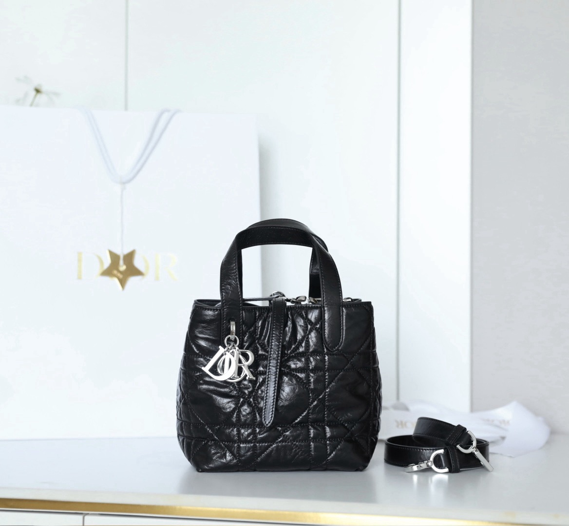Dior Toujours 스몰 버티컬 토트백