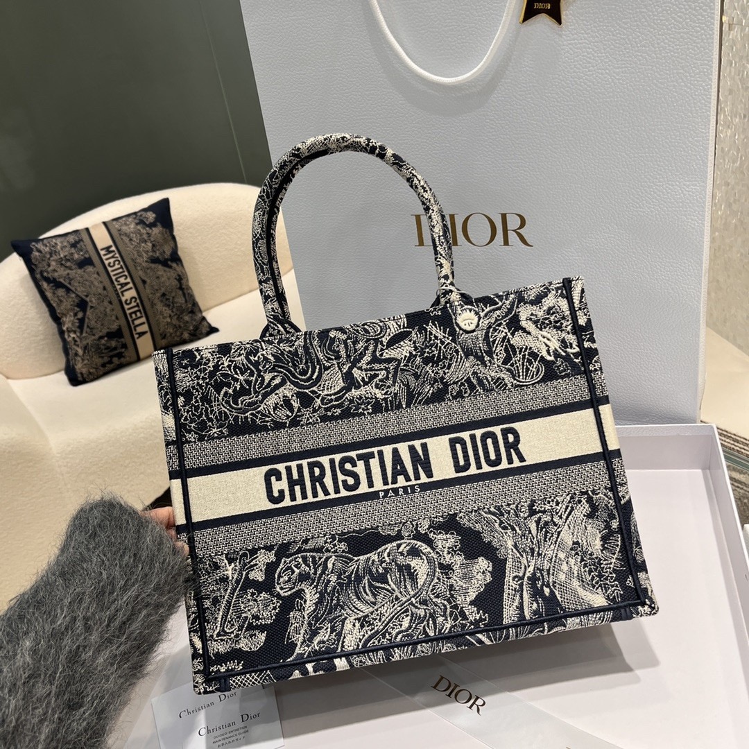 Dior Book Tote 스몰 백